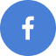 icon about us statistic facebook